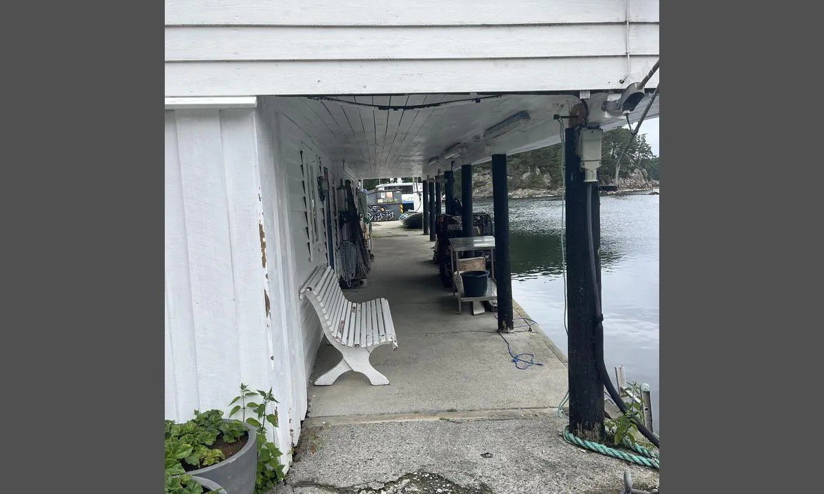 Kolbeinshamn Gjestehamn: {"base": "no", "no": "Svalgang over til servicebygget. Hang en vannslange p\u00e5 sj\u00f8huset her men den er kanskje privat.", "se": "Svalg\u00e5ng \u00f6ver till servicebyggnaden. H\u00e4ngde en vattenslang p\u00e5 sj\u00f6huset h\u00e4r men den \u00e4r kanske privat.", "en": "Covered walkway to the service building. There is a water hose hanging on the boathouse here but it might be private.", "da": "Svalegang over til servicebygningen. H\u00e6ng en vandslange p\u00e5 s\u00f8huset her, men den er m\u00e5ske privat.", "fr": "Galerie couverte pour acc\u00e9der au b\u00e2timent de service. Il y a un tuyau d'arrosage accroch\u00e9 \u00e0 la maison de la mer ici, mais il est peut-\u00eatre priv\u00e9.", "de": "Galerie zum Servicegeb\u00e4ude. Es h\u00e4ngt ein Wasserschlauch im Bootshaus hier, aber dieser ist vielleicht privat.", "es": "Pasarela cubierta hacia el edificio de servicios. Cuelgue una manguera de agua en la casa del mar aqu\u00ed, pero quiz\u00e1s sea privada.", "it": "Passerella coperta fino all'edificio di servizio. Appesa una manichetta d'acqua alla casa sul mare qui ma forse \u00e8 privata.", "pt": "Corredor coberto at\u00e9 o edif\u00edcio de servi\u00e7os. Pendure uma mangueira de \u00e1gua na casa do mar aqui, mas talvez seja privada.", "nl": "Overdekte gang naar het servicegebouw. Hang een waterslang aan het boothuis hier, maar die is misschien priv\u00e9.", "pl": "Zadaszony chodnik do budynku serwisowego. Powieszono tu w\u0119\u017c wodny przy budynku morskim, ale by\u0107 mo\u017ce jest on prywatny.", "uk": "\u041f\u0435\u0440\u0435\u0445\u0456\u0434 \u0434\u043e \u0441\u0435\u0440\u0432\u0456\u0441\u043d\u043e\u0457 \u0431\u0443\u0434\u0456\u0432\u043b\u0456. \u0422\u0443\u0442 \u043f\u043e\u0432\u0456\u0441\u0438\u043b\u0438 \u0432\u043e\u0434\u044f\u043d\u0438\u0439 \u0448\u043b\u0430\u043d\u0433 \u043d\u0430 \u043c\u043e\u0440\u0435, \u0430\u043b\u0435 \u0432\u0456\u043d, \u043c\u043e\u0436\u043b\u0438\u0432\u043e, \u043f\u0440\u0438\u0432\u0430\u0442\u043d\u0438\u0439.", "ro": "Coridor lung acoperit spre cl\u0103direa de servicii. Am ag\u0103\u021bat un furtun de ap\u0103 de casa de pe mal aici, dar este posibil s\u0103 fie privat.", "tr": "Servis binas\u0131na ge\u00e7i\u015f i\u00e7in \u00fcst\u00fc kapal\u0131 yol. Buradaki deniz evine bir su hortumu as\u0131l\u0131 ama belki ki\u015fiseldir.", "el": "\u03a3\u03ba\u03b5\u03c0\u03b1\u03c3\u03c4\u03ae \u03b4\u03b9\u03ac\u03b2\u03b1\u03c3\u03b7 \u03bc\u03ad\u03c7\u03c1\u03b9 \u03c4\u03bf \u03ba\u03c4\u03af\u03c1\u03b9\u03bf \u03c4\u03c9\u03bd \u03c5\u03c0\u03b7\u03c1\u03b5\u03c3\u03b9\u03ce\u03bd. \u039a\u03c1\u03ad\u03bc\u03b1\u03c3\u03b5 \u03ad\u03bd\u03b1 \u03c3\u03c9\u03bb\u03ae\u03bd\u03b1 \u03bd\u03b5\u03c1\u03bf\u03cd \u03c3\u03c4\u03bf \u03b8\u03b1\u03bb\u03ac\u03c3\u03c3\u03b9\u03bf \u03c3\u03c0\u03af\u03c4\u03b9 \u03b5\u03b4\u03ce \u03b1\u03bb\u03bb\u03ac \u03af\u03c3\u03c9\u03c2 \u03b5\u03af\u03bd\u03b1\u03b9 \u03b9\u03b4\u03b9\u03c9\u03c4\u03b9\u03ba\u03cc\u03c2.", "cs": "P\u0159\u00ed\u010dn\u00fd most k servisn\u00ed budov\u011b. Zav\u011bste vodn\u00ed hadici na mo\u0159skou chatu zde, ale je mo\u017en\u00e1 soukrom\u00e1.", "hu": "Fedett \u00e1tj\u00e1r\u00f3 vezet a szerviz\u00e9p\u00fclethez. Tegyen ki egy v\u00edzcs\u00f6vet a tengerh\u00e1zra ide, de az tal\u00e1n mag\u00e1ntulajdon.", "fi": "K\u00e4yt\u00e4v\u00e4 palvelurakennukseen. Ripusta vesiletku meritalolle, mutta se saattaa olla yksityinen.", "bg": "\u041f\u043e\u043a\u0440\u0438\u0442\u0430 \u0432\u0435\u0440\u0430\u043d\u0434\u0430 \u043a\u044a\u043c \u0441\u0435\u0440\u0432\u0438\u0437\u043d\u0430\u0442\u0430 \u0441\u0433\u0440\u0430\u0434\u0430. \u0417\u0430\u043a\u0430\u0447\u0435\u0442\u0435 \u0432\u043e\u0434\u043d\u0438\u044f \u043c\u0430\u0440\u043a\u0443\u0447 \u043d\u0430 \u043c\u043e\u0440\u0441\u043a\u0430\u0442\u0430 \u043a\u044a\u0449\u0430 \u0442\u0443\u043a, \u043d\u043e \u0442\u043e\u0439 \u043c\u043e\u0436\u0435 \u0434\u0430 \u0435 \u0447\u0430\u0441\u0442\u0435\u043d.", "sr": "\u041f\u0440\u0435\u043a\u0440\u0438\u0432\u0435\u043d\u0438 \u043f\u0440\u043e\u043b\u0430\u0437 \u0434\u043e \u0437\u0433\u0440\u0430\u0434\u0435 \u0441\u0430 \u0443\u0441\u043b\u0443\u0433\u0430\u043c\u0430. \u041e\u043a\u0430\u0447\u0438\u043b\u0438 \u0441\u0443 \u0446\u0440\u0435\u0432\u043e \u0437\u0430 \u0432\u043e\u0434\u0443 \u043d\u0430 \u043c\u043e\u0440\u0441\u043a\u043e\u0458 \u043a\u0443\u045b\u0438 \u043e\u0432\u0434\u0435, \u0430\u043b\u0438 \u0458\u0435 \u043c\u043e\u0436\u0434\u0430 \u043f\u0440\u0438\u0432\u0430\u0442\u043d\u043e.", "et": "Varikatus \u00fcle teenindushoone juurde. Riputasin siia paadikuuride juurde vee\u0161ahtli, aga see v\u00f5ib-olla on eraomand.", "lv": "P\u0101reja uz servisa \u0113ku. \u0160eit uz j\u016bras m\u0101jas ir pak\u0101rta \u016bdens \u0161\u013c\u016btene, ta\u010du t\u0101, iesp\u0113jams, ir priv\u0101ta.", "lt": "Savanoris per \u0117jim\u0105 \u012f paslaug\u0173 pastat\u0105. Pakabinkite vandens \u017earn\u0105 ant j\u016bros namelio \u010dia, bet ji gali b\u016bti privati."}