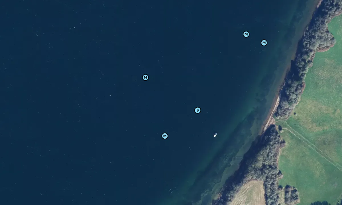 Satelite image of Kolding Fjord