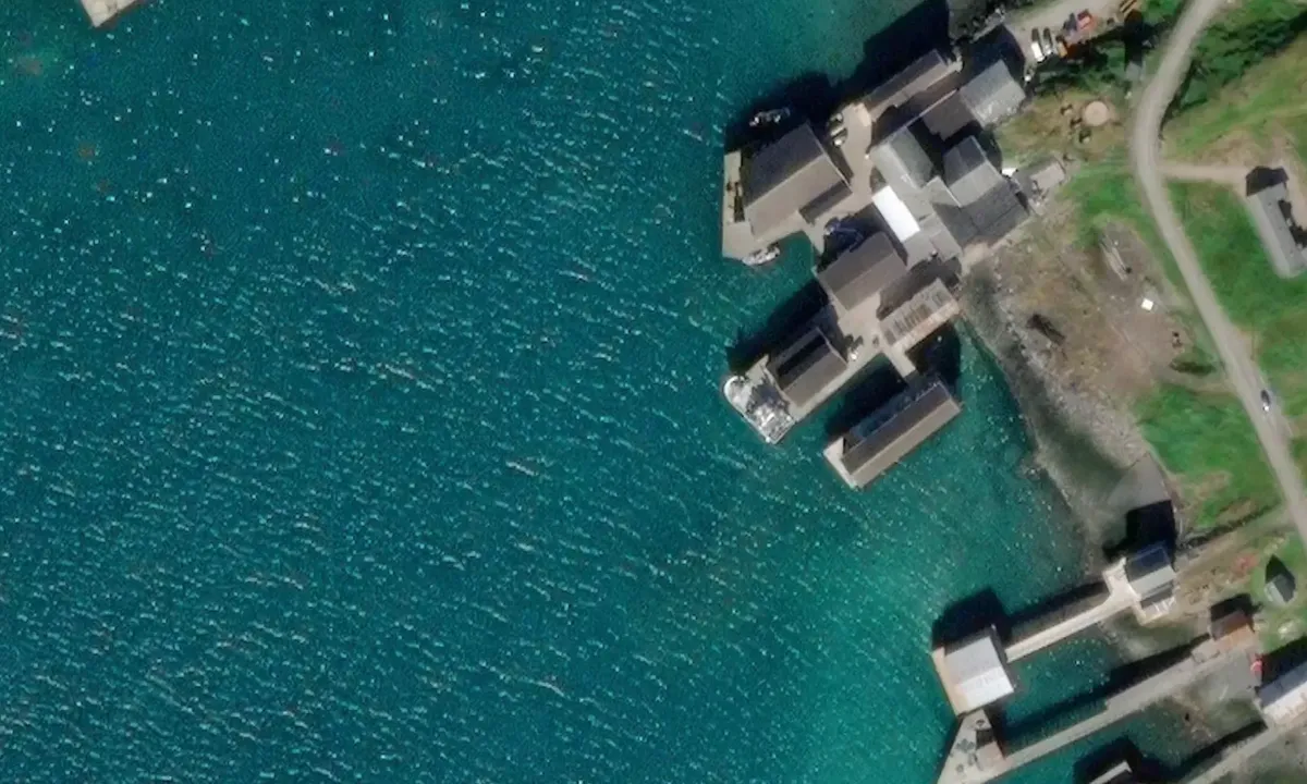 Satelite image of Kongsfjord