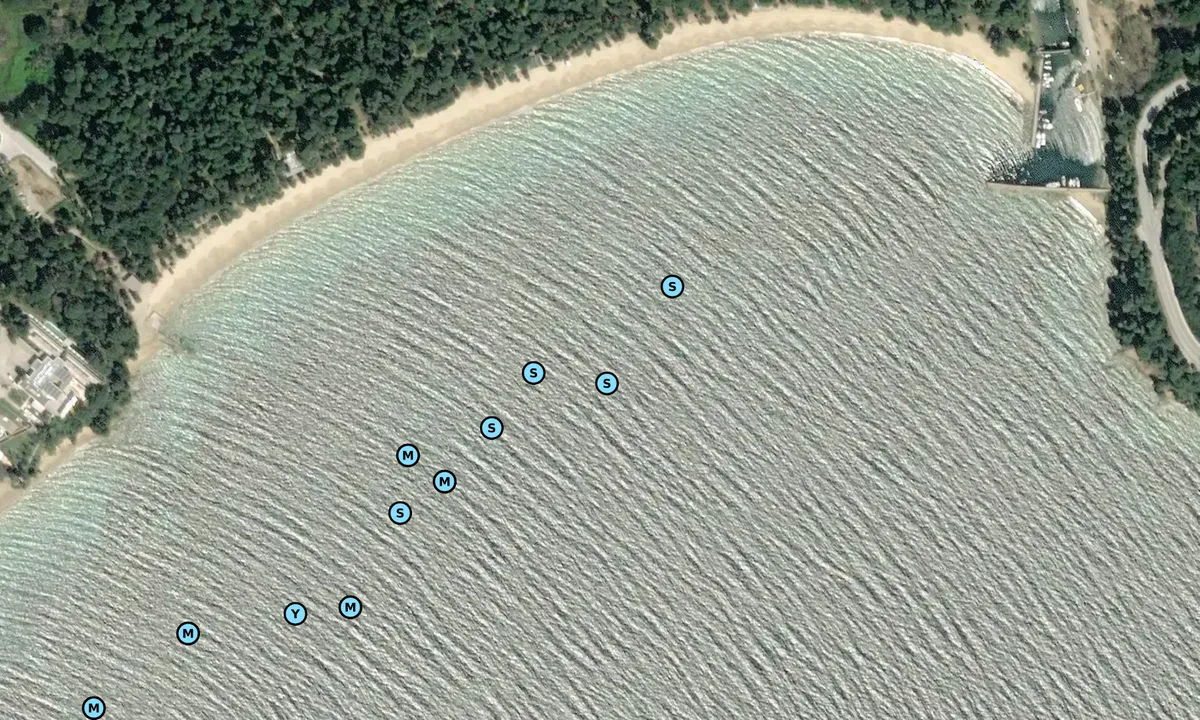 Satelite image of Koukounaries