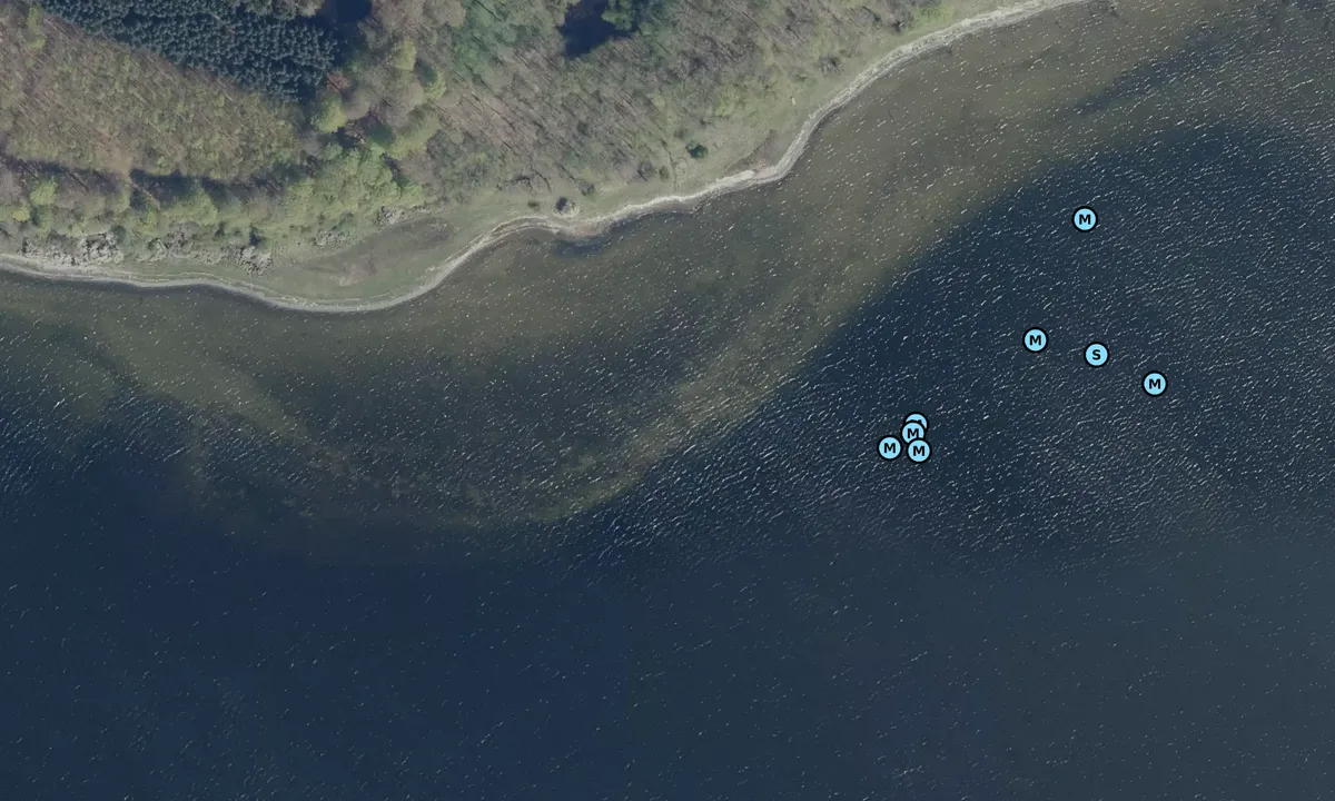 Satelite image of Kragevig bouy