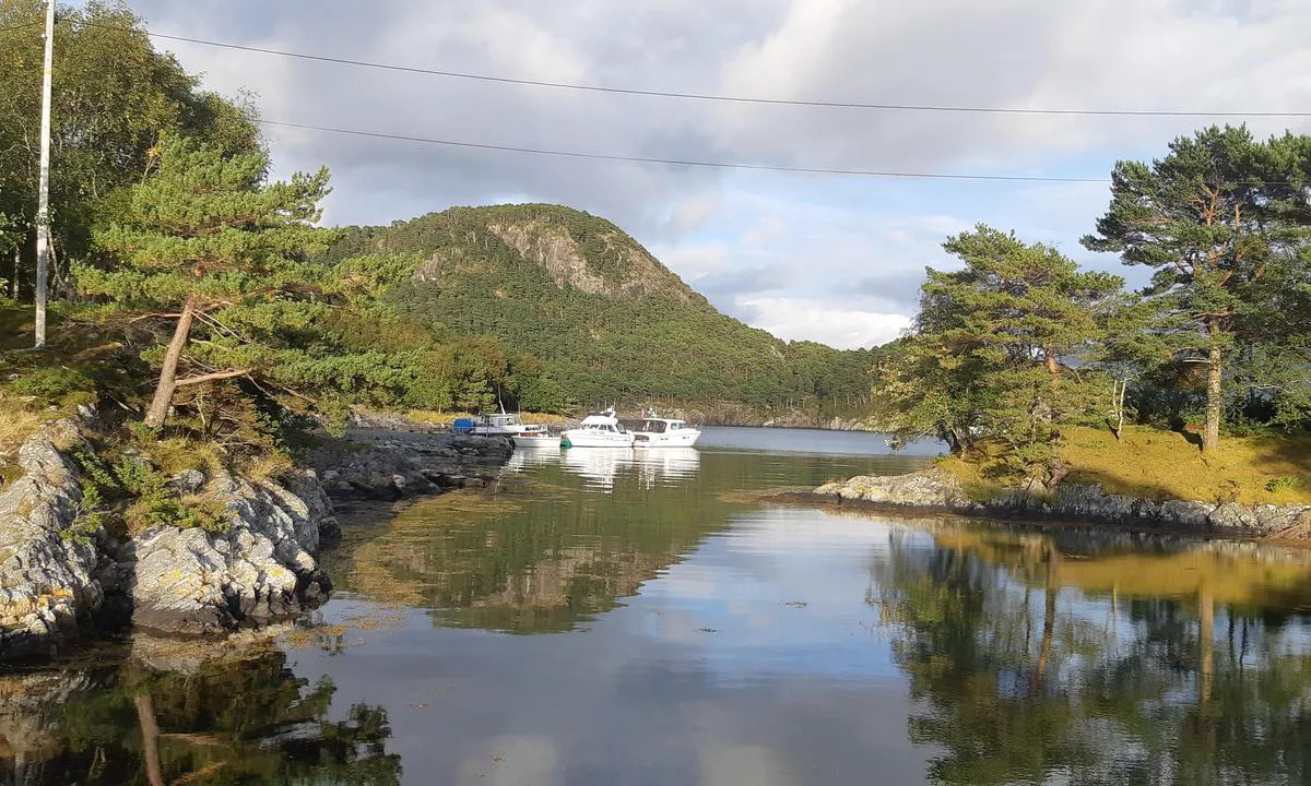 Kvalstad - Svanøy: Idylliske omgivelser.