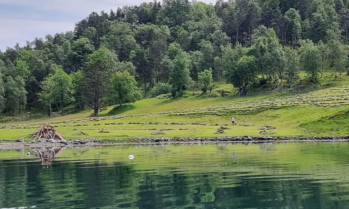 Kvamsøy