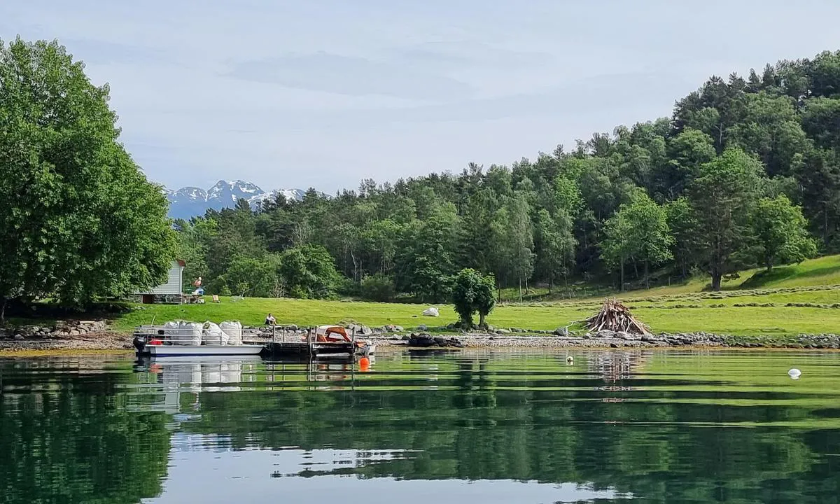 Kvamsøy