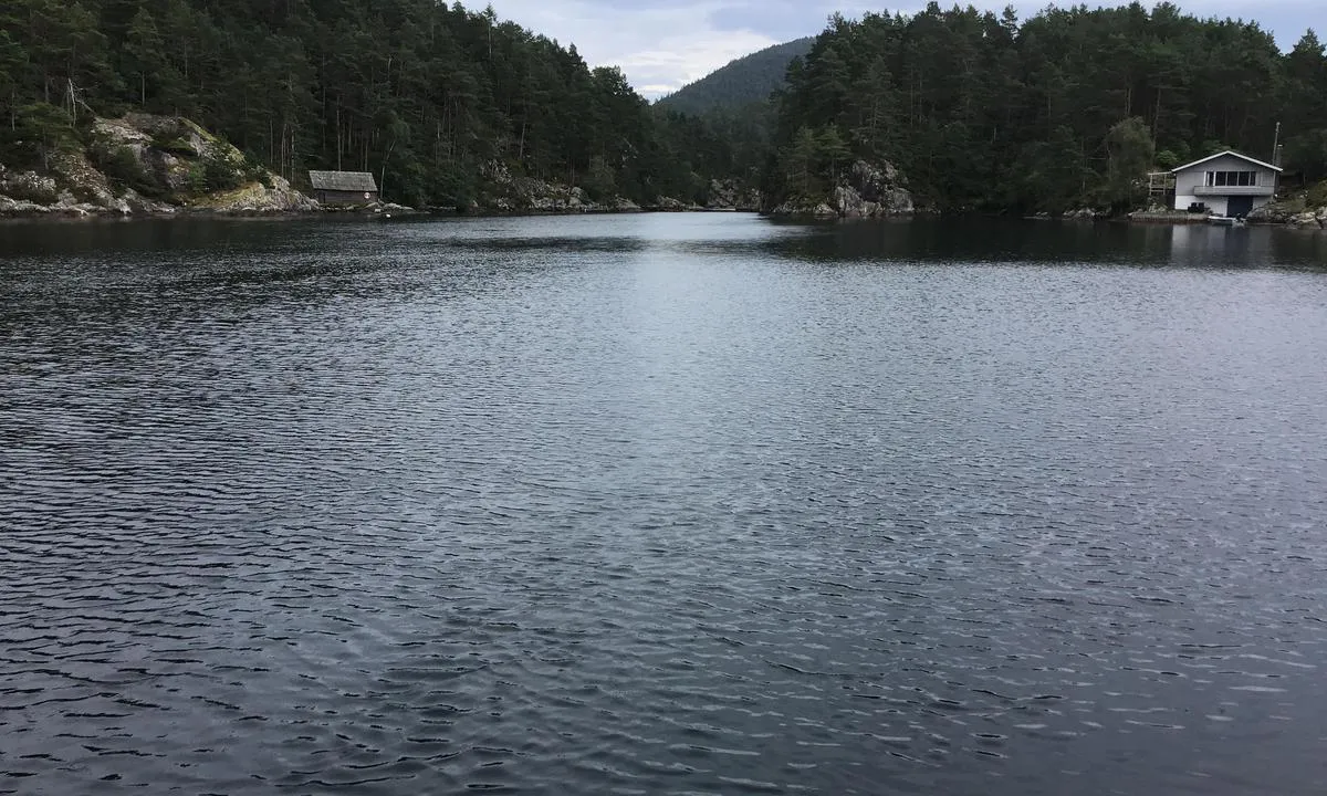 Kviteklubben, Søre Dåfjorden