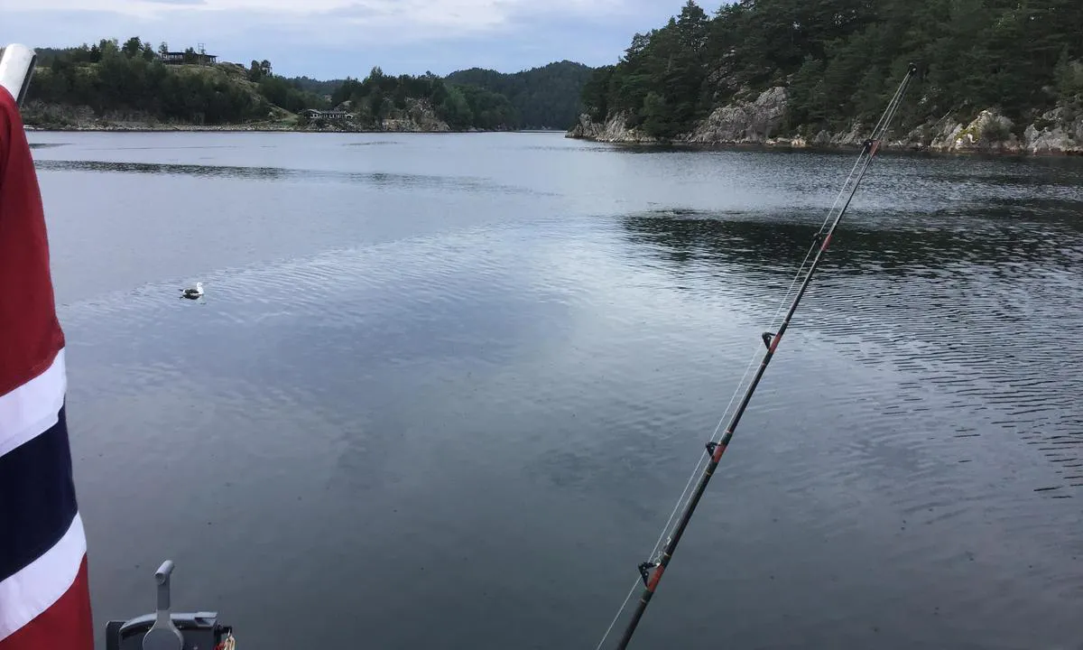 Kviteklubben, Søre Dåfjorden