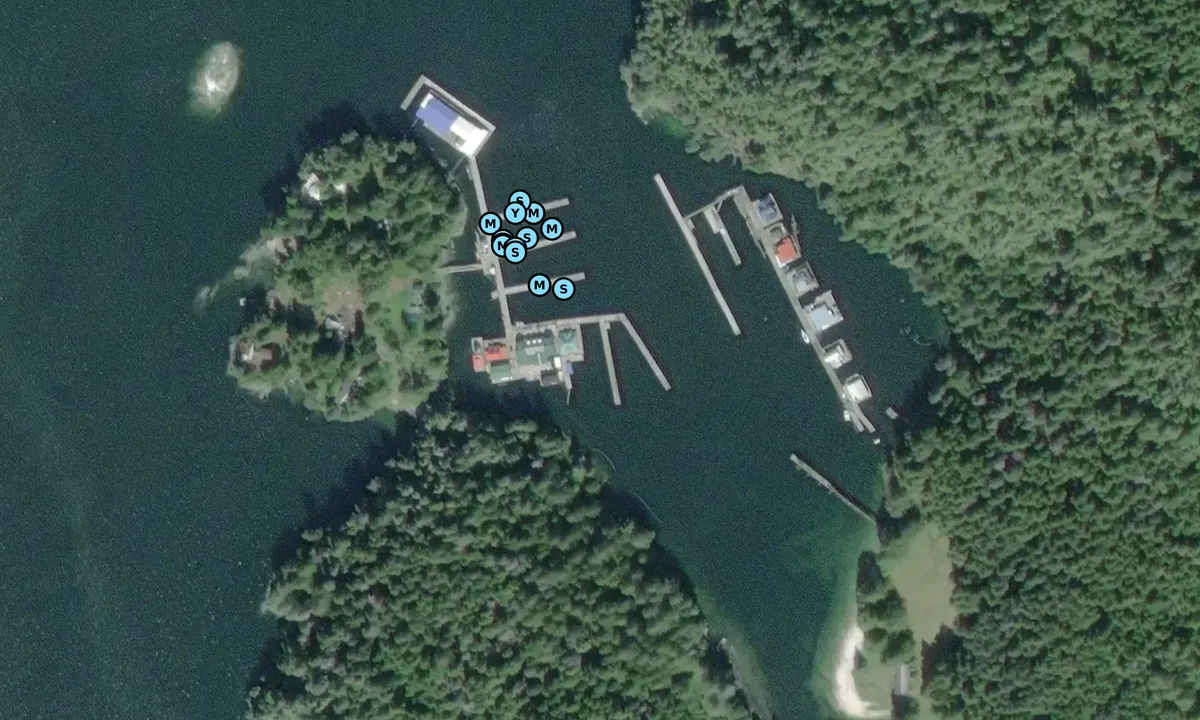 Satelite image of Ḵ̓wax̱wa̱lawadi at Echo Bay Lodge and Marina