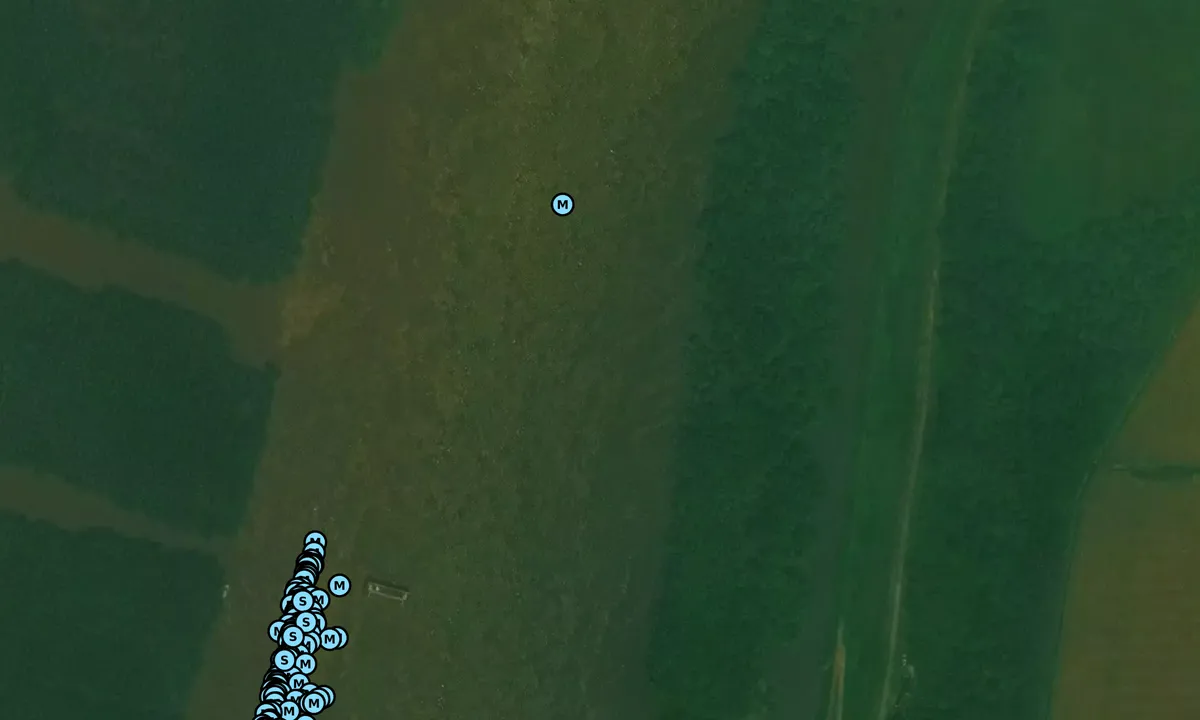 Satelite image of La Grange Lock and Dam North