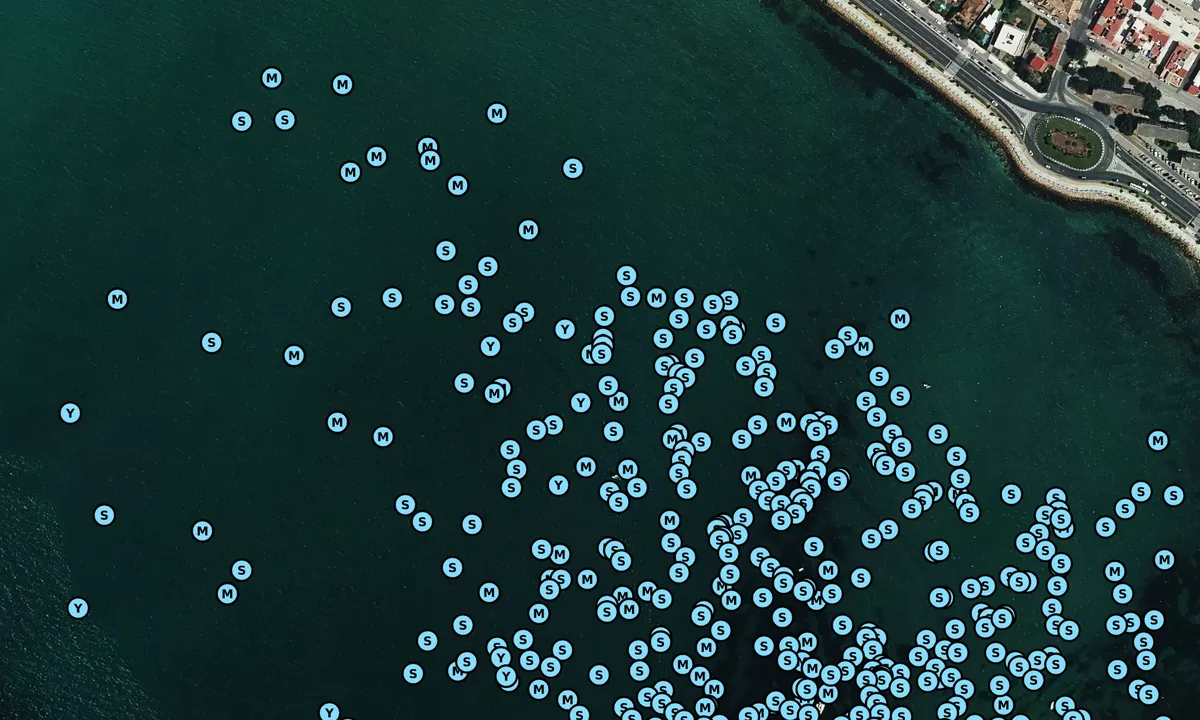 Satelite image of La Linea