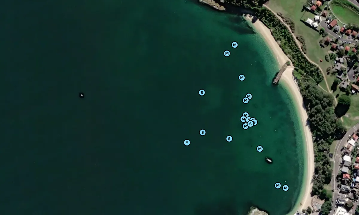 Satelite image of La Perouse Park (moorings)