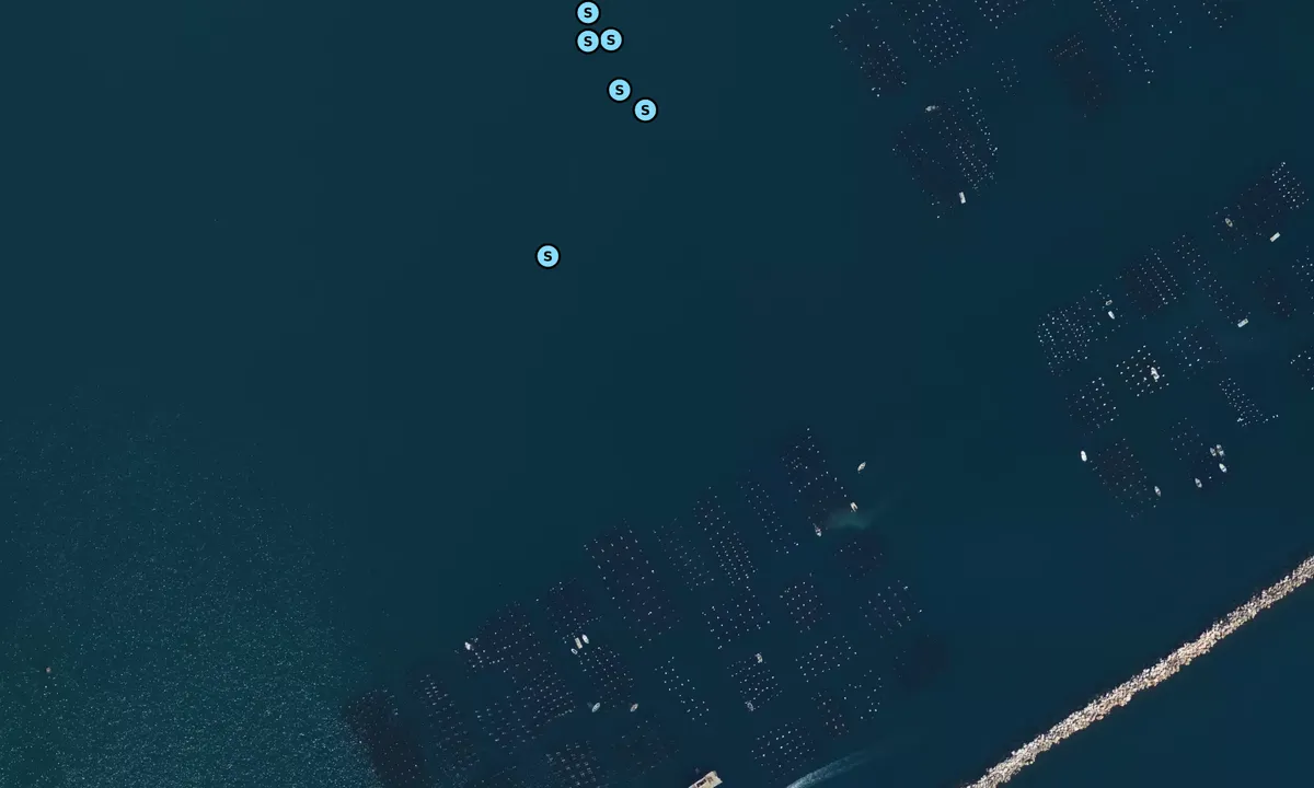 Satelite image of La Spezia