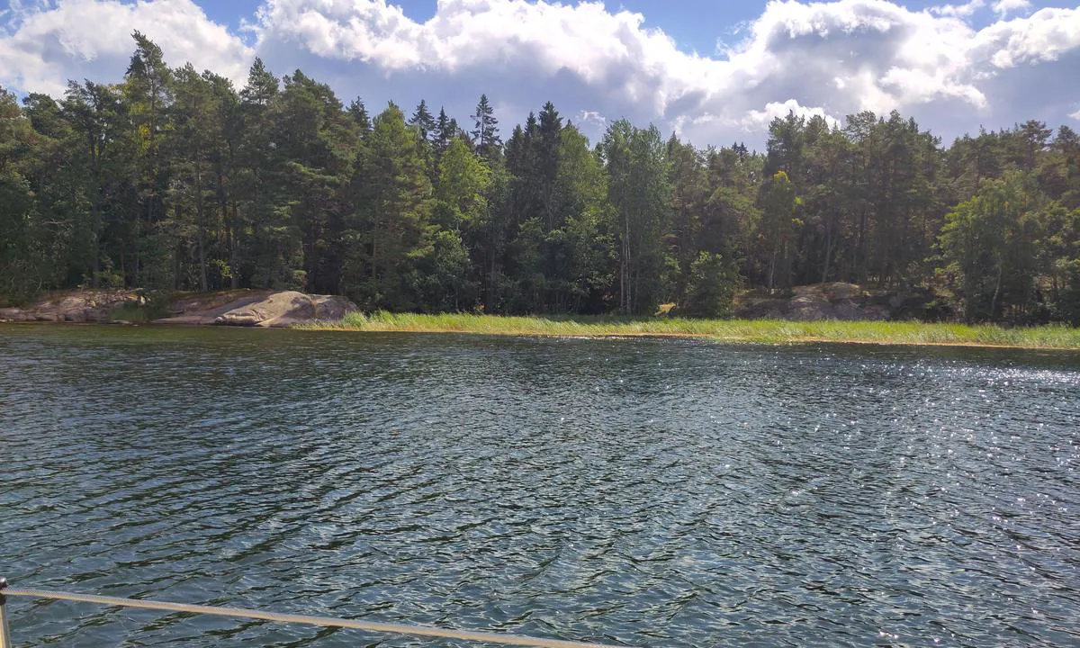 Lådnafladen - Horsslangen: {"base": "se", "no": "Vi l\u00e5 langs med sivet p\u00e5 s\u00f8rlige delen av bukta", "se": "Vi l\u00e5g l\u00e4ngs med vassen p\u00e5 s\u00f6dra delen av viken", "en": "We moored alongside the reeds on the southern part of the bay", "da": "Vi l\u00e5 langs sivet p\u00e5 den sydlige del af bugten", "fr": "Nous \u00e9tions amarr\u00e9s le long des roseaux sur la partie sud de la baie", "de": "Wir lagen entlang des Schilfs im s\u00fcdlichen Teil der Bucht", "es": "Nos alojamos junto a los juncos en la parte sur de la bah\u00eda", "it": "Abbiamo ormeggiato lungo la canna palustre nella parte meridionale della baia", "pt": "Ancor\u00e1mos ao longo do junco na parte sul da enseada", "nl": "We lagen langs het riet aan de zuidkant van de baai", "pl": "Cumowali\u015bmy wzd\u0142u\u017c trzciny na po\u0142udniowej cz\u0119\u015bci zatoki", "uk": "\u041c\u0438 \u0441\u0442\u043e\u044f\u043b\u0438 \u0432\u0437\u0434\u043e\u0432\u0436 \u043e\u0447\u0435\u0440\u0435\u0442\u0443 \u043d\u0430 \u043f\u0456\u0432\u0434\u0435\u043d\u043d\u0456\u0439 \u0447\u0430\u0441\u0442\u0438\u043d\u0456 \u0437\u0430\u0442\u043e\u043a\u0438", "ro": "Am stat de-a lungul stufului \u00een partea de sud a golfului", "tr": "Koyun g\u00fcney k\u0131sm\u0131ndaki kam\u0131\u015flar\u0131n yan\u0131nda demirledik.", "el": "\u0391\u03c1\u03b1\u03b6\u03cc\u03bc\u03b1\u03c3\u03c4\u03b1\u03bd \u03ba\u03b1\u03c4\u03ac \u03bc\u03ae\u03ba\u03bf\u03c2 \u03c4\u03c9\u03bd \u03ba\u03b1\u03bb\u03b1\u03bc\u03b9\u03ce\u03bd \u03c3\u03c4\u03bf \u03bd\u03cc\u03c4\u03b9\u03bf \u03bc\u03ad\u03c1\u03bf\u03c2 \u03c4\u03bf\u03c5 \u03ba\u03cc\u03bb\u03c0\u03bf\u03c5", "cs": "Le\u017eeli jsme pod\u00e9l r\u00e1kosu na ji\u017en\u00ed stran\u011b z\u00e1toky", "hu": "A n\u00e1das mellett fek\u00fcdt\u00fcnk a \u00f6b\u00f6l d\u00e9li r\u00e9sz\u00e9n", "fi": "Meit\u00e4 oltiin kaislikon vieress\u00e4 lahden etel\u00e4osassa", "bg": "\u041d\u0438\u0435 \u043b\u0435\u0436\u0430\u0445\u043c\u0435 \u043f\u043e\u043a\u0440\u0430\u0439 \u0442\u0440\u044a\u0441\u0442\u0438\u043a\u0430\u0442\u0430 \u0432 \u044e\u0436\u043d\u0430\u0442\u0430 \u0447\u0430\u0441\u0442 \u043d\u0430 \u0437\u0430\u043b\u0438\u0432a", "sr": "\u041d\u0430\u0441 \u0441\u043c\u043e \u043b\u0435\u0436\u0430\u043b\u0438 \u0443\u0437 \u0442\u0440\u0441\u043a\u0443 \u043d\u0430 \u0458\u0443\u0436\u043d\u043e\u043c \u0434\u0435\u043b\u0443 \u0437\u0430\u043b\u0438\u0432\u0430", "et": "Me olime v\u00f6\u00f6ri \u00e4\u00e4res laguuni l\u00f5unaosas", "lv": "M\u0113s piest\u0101j\u0101m gar niedr\u0101m l\u012b\u010da dienvidu da\u013c\u0101", "lt": "Mes buvome prie nendri\u0173 pietin\u0117je \u012flankos dalyje"}
