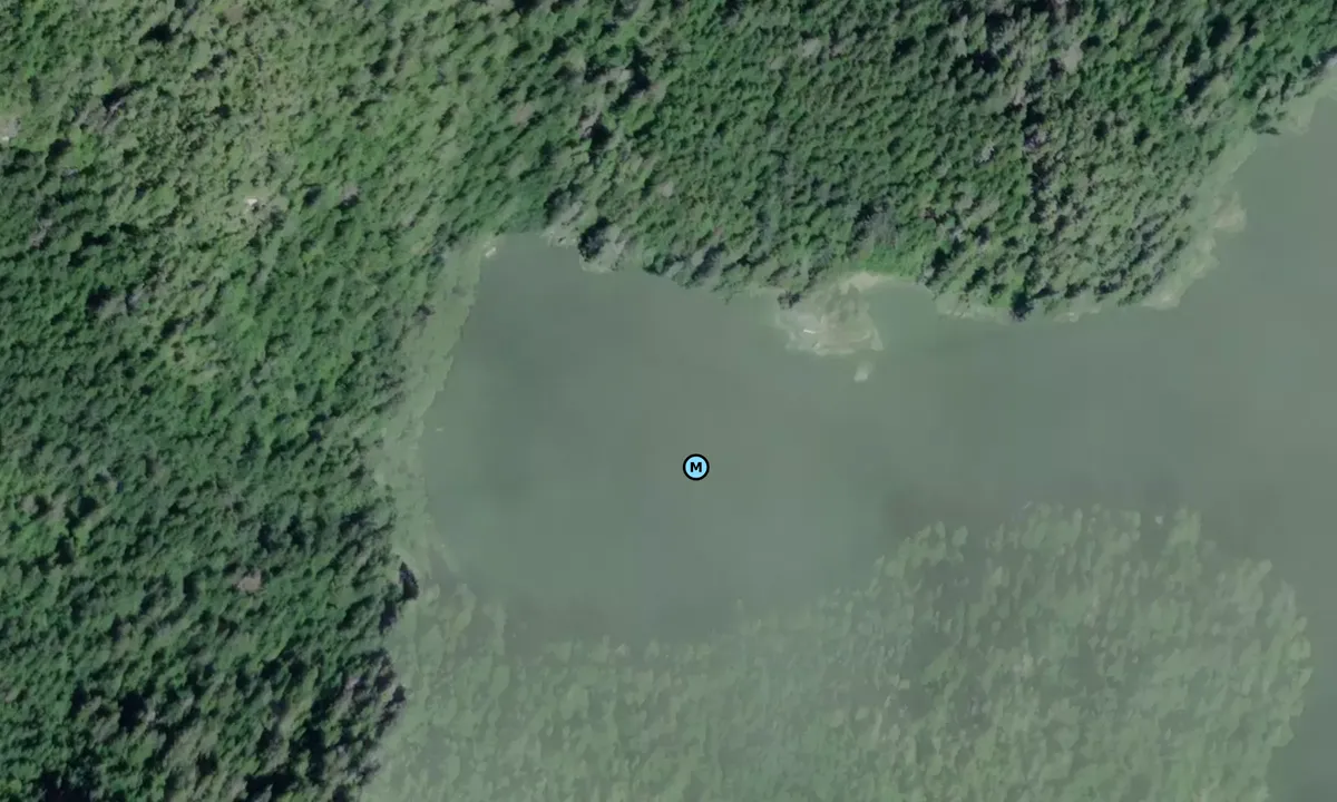 Satelite image of Ladyboot/East of Eden Cove