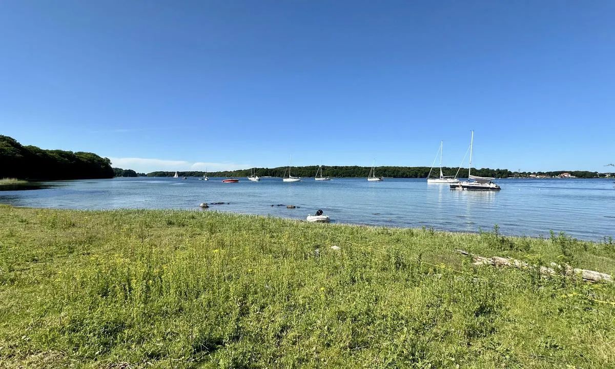 Lænke vig bouy