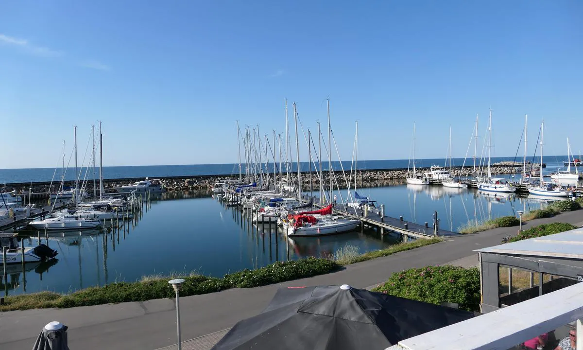 Læsø Østerby Havn: 13 june