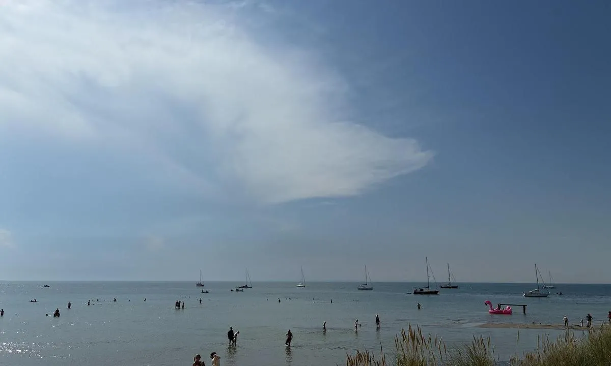 Læsø - Vesterø Havn: God svaiplass vest for havnen. Havnen er stappfull lørdag i uke 29 når Vesterø Boldklub holder sin årlige Kajfest.