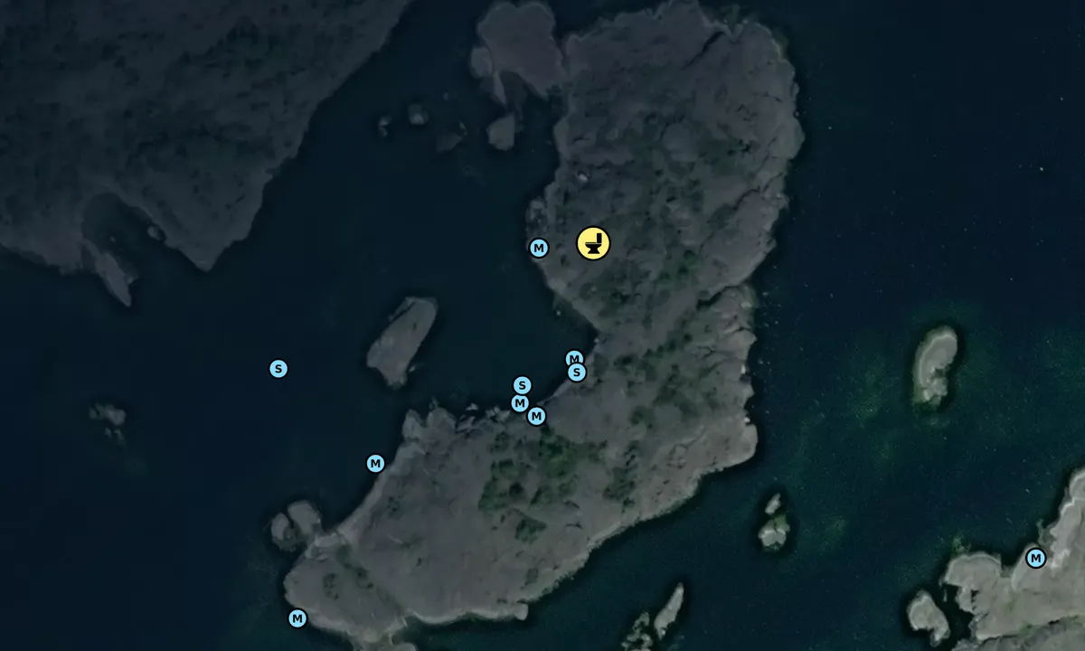 Satelite image of Låg Hallskär