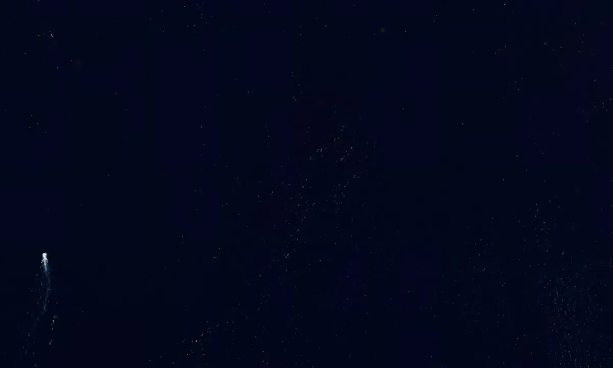 Flyfoto av Lago di Garda