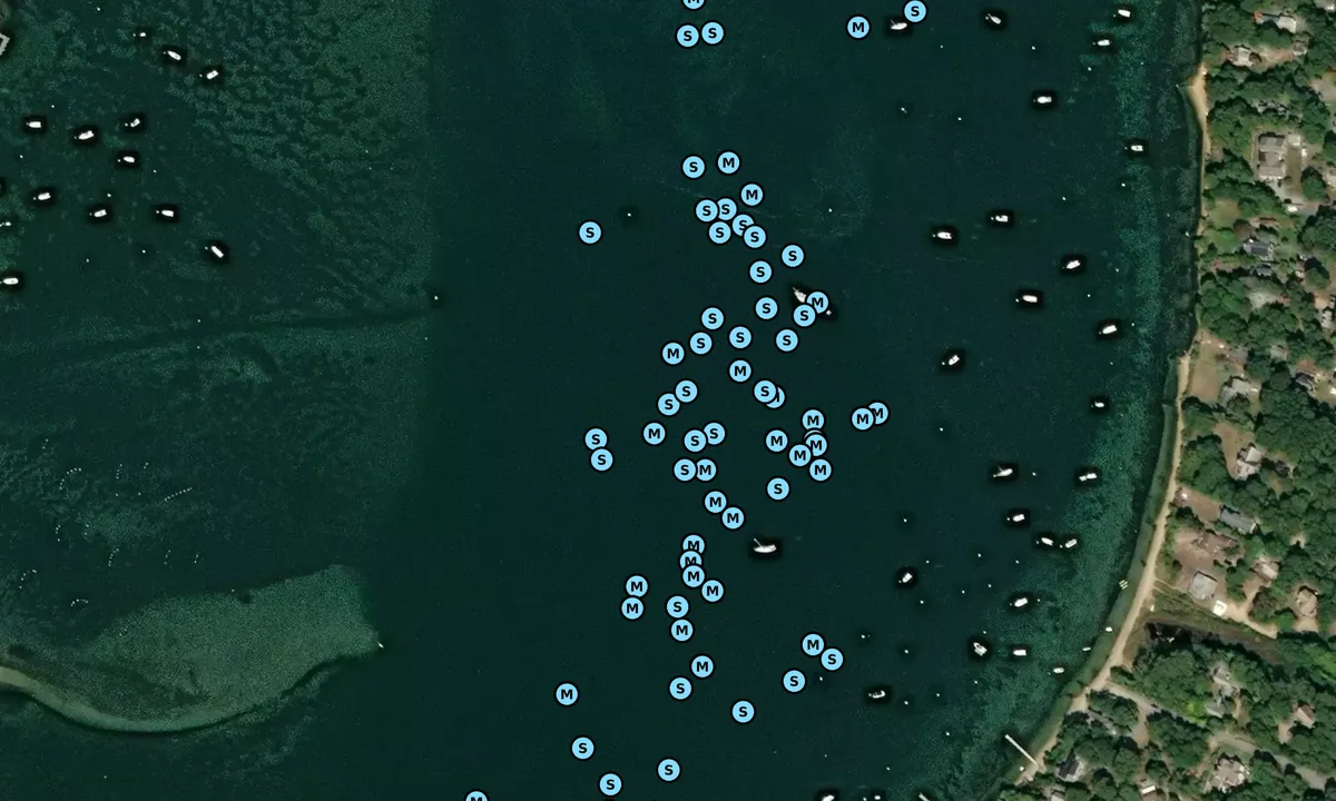 Satelite image of Lagoon Pond