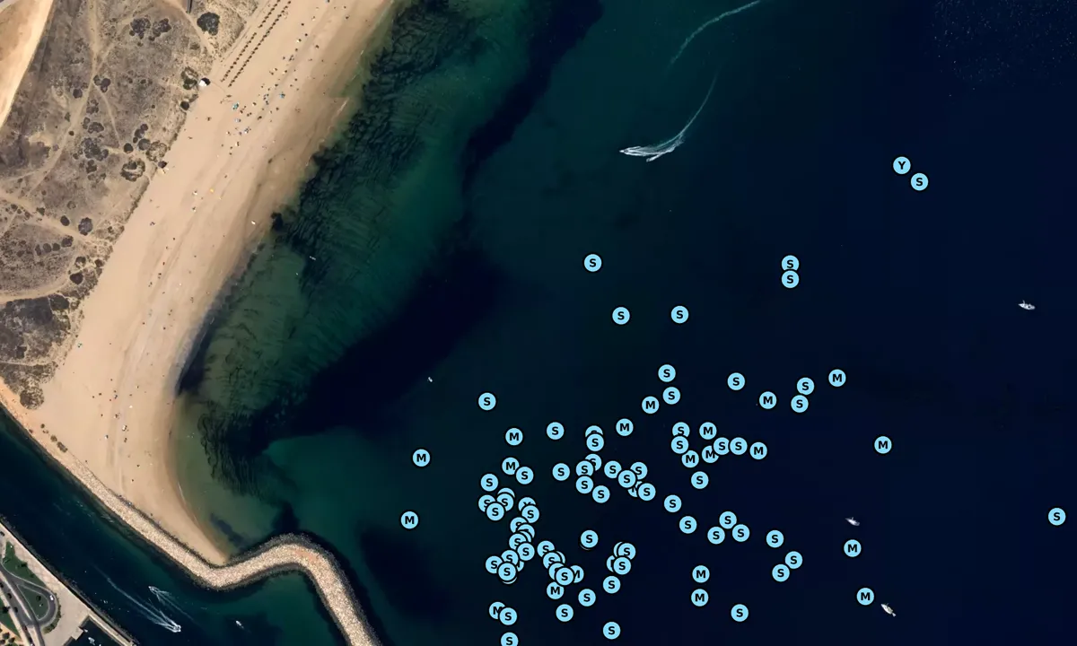Satelite image of Lagos - Praia São Roque