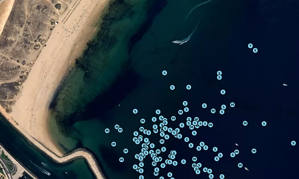 Satelite image of Lagos - Praia São Roque