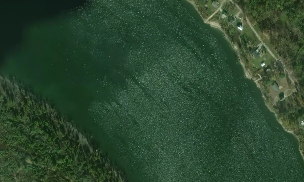 Satelite image of Lake Ferguson