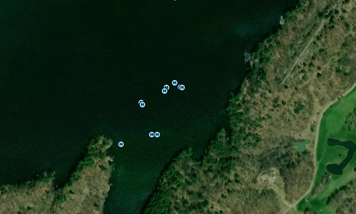 Satelite image of Lake of the Isles