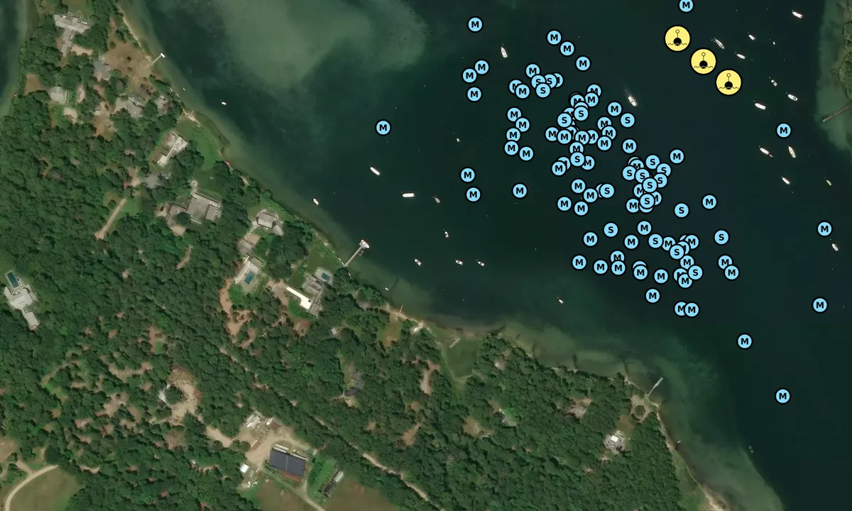 Satelite image of Lake Tashmoo