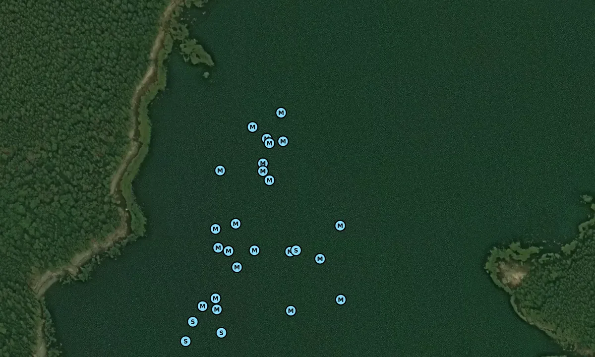 Satelite image of Lakeman Harbor