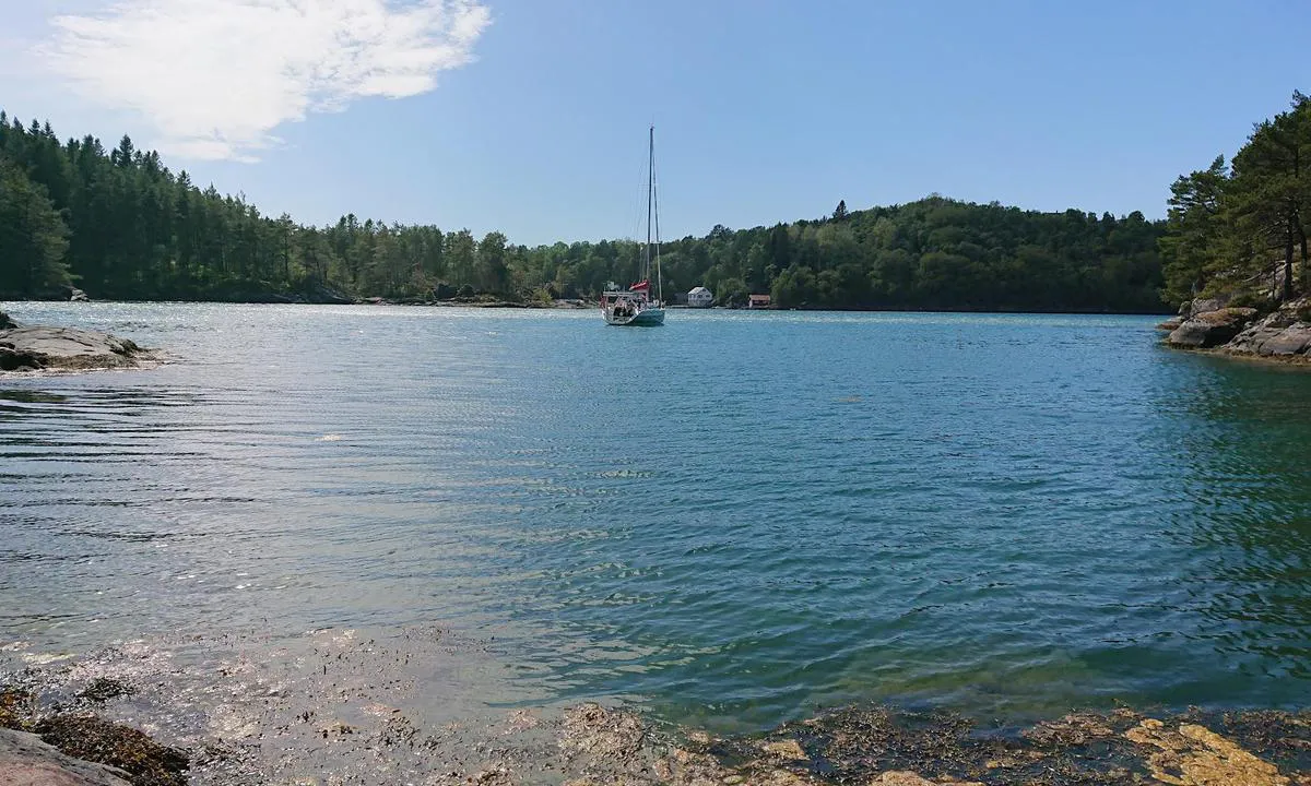 Lammavågen