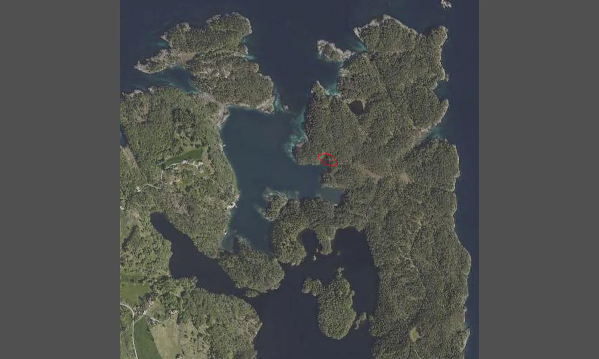Lammavågen