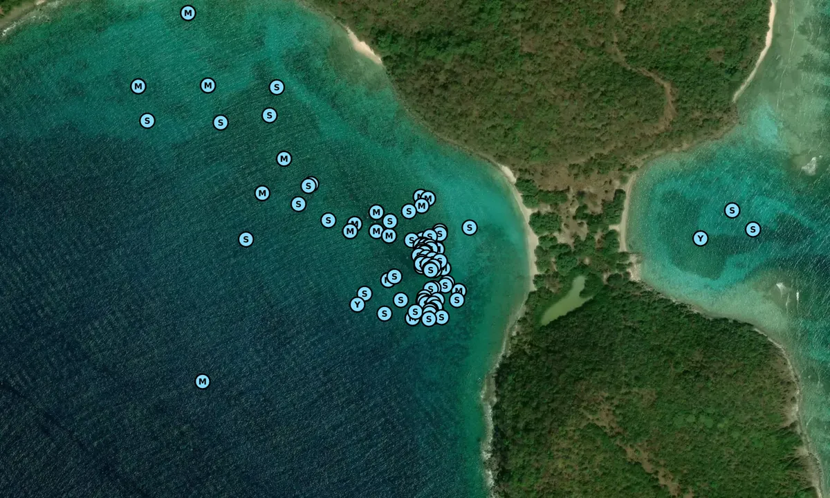 Satelite image of Lana's Cove