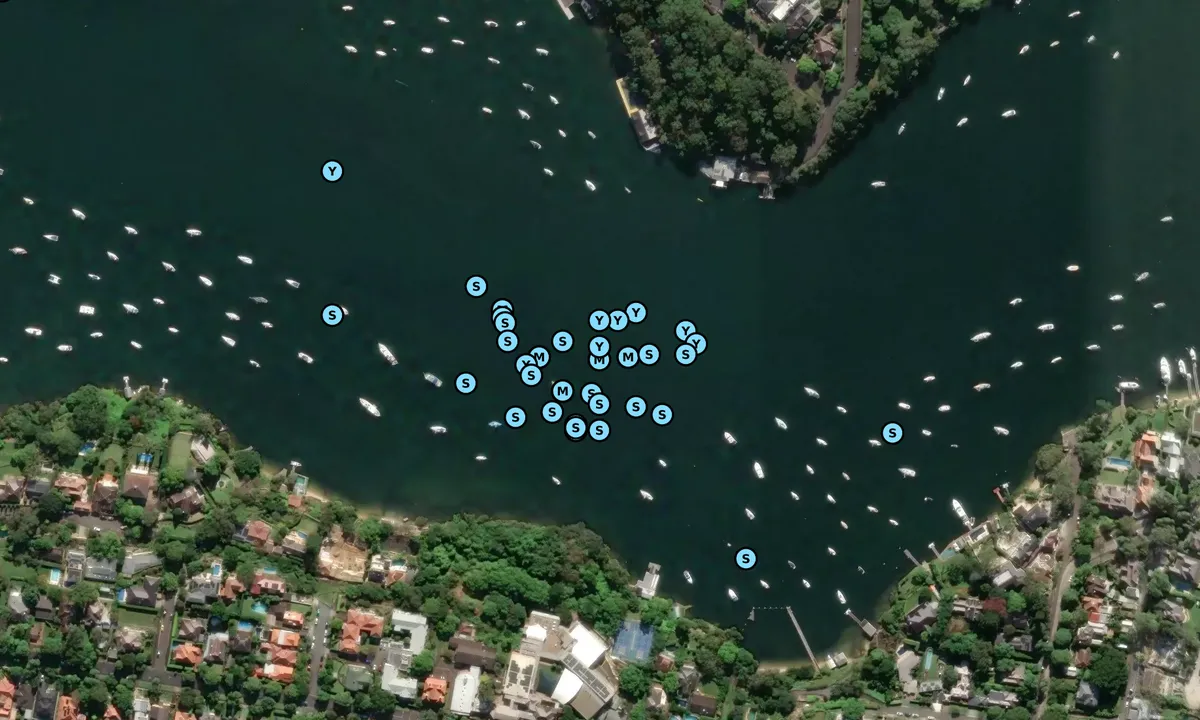 Satelite image of Lane Cove River