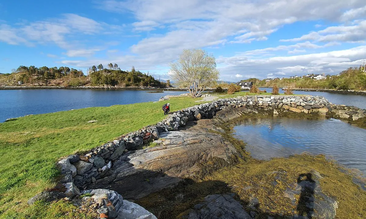 Langevågsholmene Sula: Det er bare å ta med stolene på land!