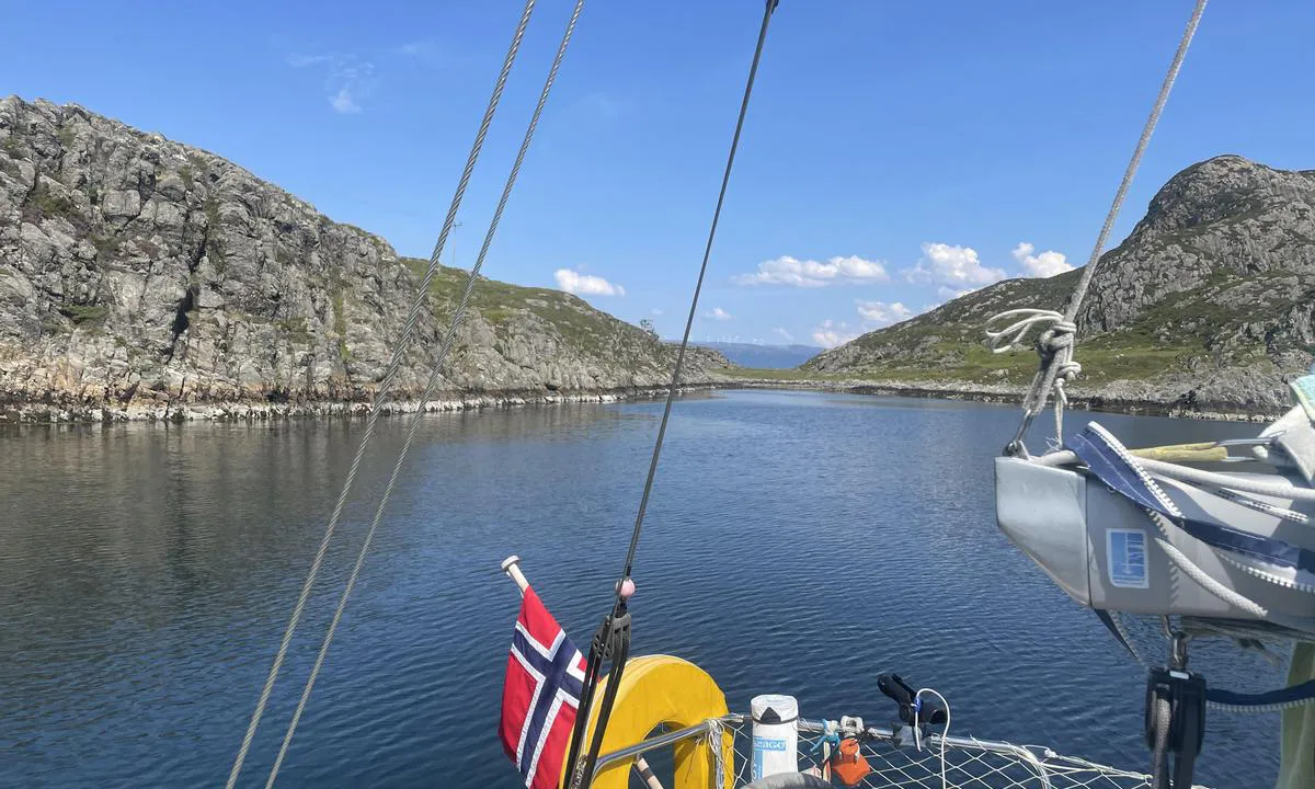 Langevika