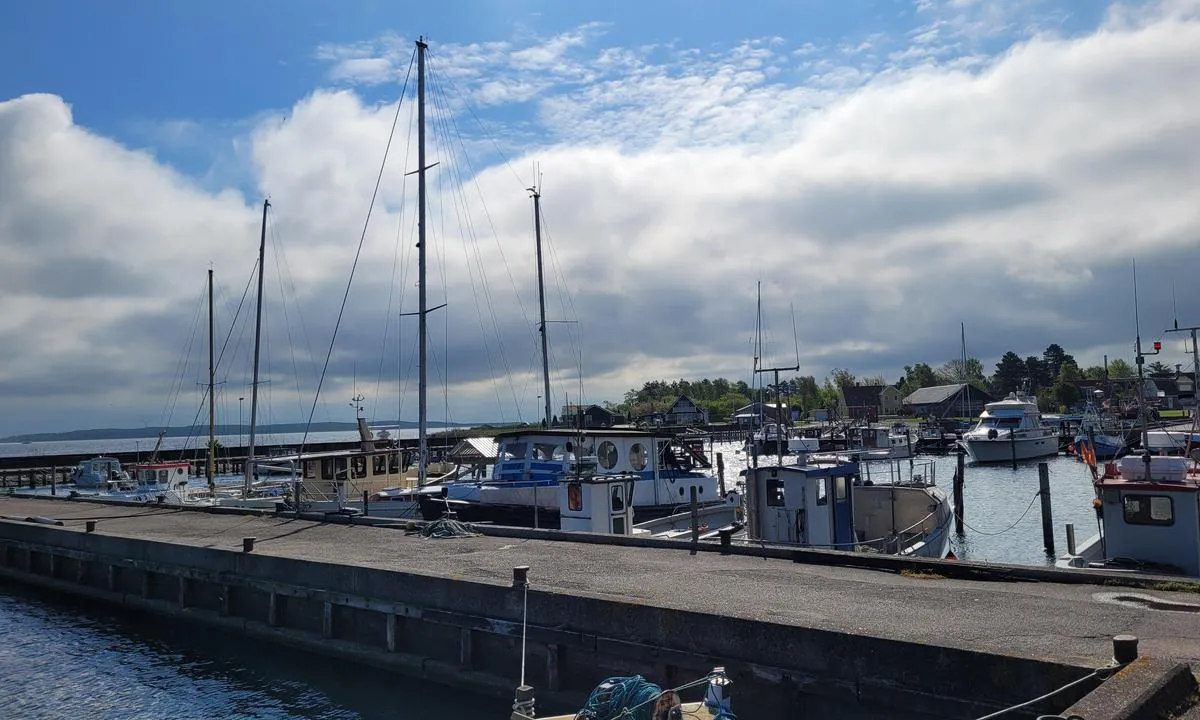 Langø Havn: {"base": "de", "no": "Bakre omr\u00e5de fiskerihavn.", "se": "Bakre omr\u00e5det fiskarhamn.", "en": "Rear area of the fishing harbour.", "da": "Bagerste omr\u00e5de Fiskerihavn.", "fr": "Zone arri\u00e8re du port de p\u00eache.", "de": "Hinterer Bereich Fischerhafen.", "es": "Parte trasera del puerto pesquero.", "it": "Area posteriore del porto peschereccio.", "pt": "\u00c1rea posterior do porto de pescadores.", "nl": "Achtergebied vissershaven.", "pl": "Tylna cz\u0119\u015b\u0107 portu rybackiego.", "uk": "\u0417\u0430\u0434\u043d\u044f \u0447\u0430\u0441\u0442\u0438\u043d\u0430 \u0440\u0438\u0431\u0430\u0446\u044c\u043a\u043e\u0433\u043e \u043f\u043e\u0440\u0442\u0443.", "ro": "Zona din spate a portului de pescuit.", "tr": "Arka B\u00f6l\u00fcm Bal\u0131k\u00e7\u0131 Liman\u0131.", "el": "\u03a0\u03af\u03c3\u03c9 \u03c0\u03b5\u03c1\u03b9\u03bf\u03c7\u03ae \u03b1\u03bb\u03b9\u03b5\u03c5\u03c4\u03b9\u03ba\u03bf\u03cd \u03bb\u03b9\u03bc\u03b1\u03bd\u03b9\u03bf\u03cd.", "cs": "Zadn\u00ed \u010d\u00e1st ryb\u00e1\u0159sk\u00e9ho p\u0159\u00edstavu.", "hu": "H\u00e1ts\u00f3 r\u00e9sz Hal\u00e1szkik\u00f6t\u0151.", "fi": "Takaosa kalasatama.", "bg": "\u0417\u0430\u0434\u043d\u0430 \u0447\u0430\u0441\u0442 \u043d\u0430 \u0440\u0438\u0431\u043e\u043b\u043e\u0432\u0435\u043d \u043f\u0440\u0438\u0441\u0442\u0430\u043d.", "sr": "\u0417\u0430\u0434\u045a\u0438 \u0434\u0435\u043e \u0440\u0438\u0431\u0430\u0440\u0441\u043a\u0435 \u043b\u0443\u043a\u0435.", "et": "Tagumine ala, kalasadam.", "lv": "Aizmugur\u0113j\u0101 zona zvejnieku ost\u0101.", "lt": "U\u017epakalin\u0117 \u017evejybos uosto dalis."}