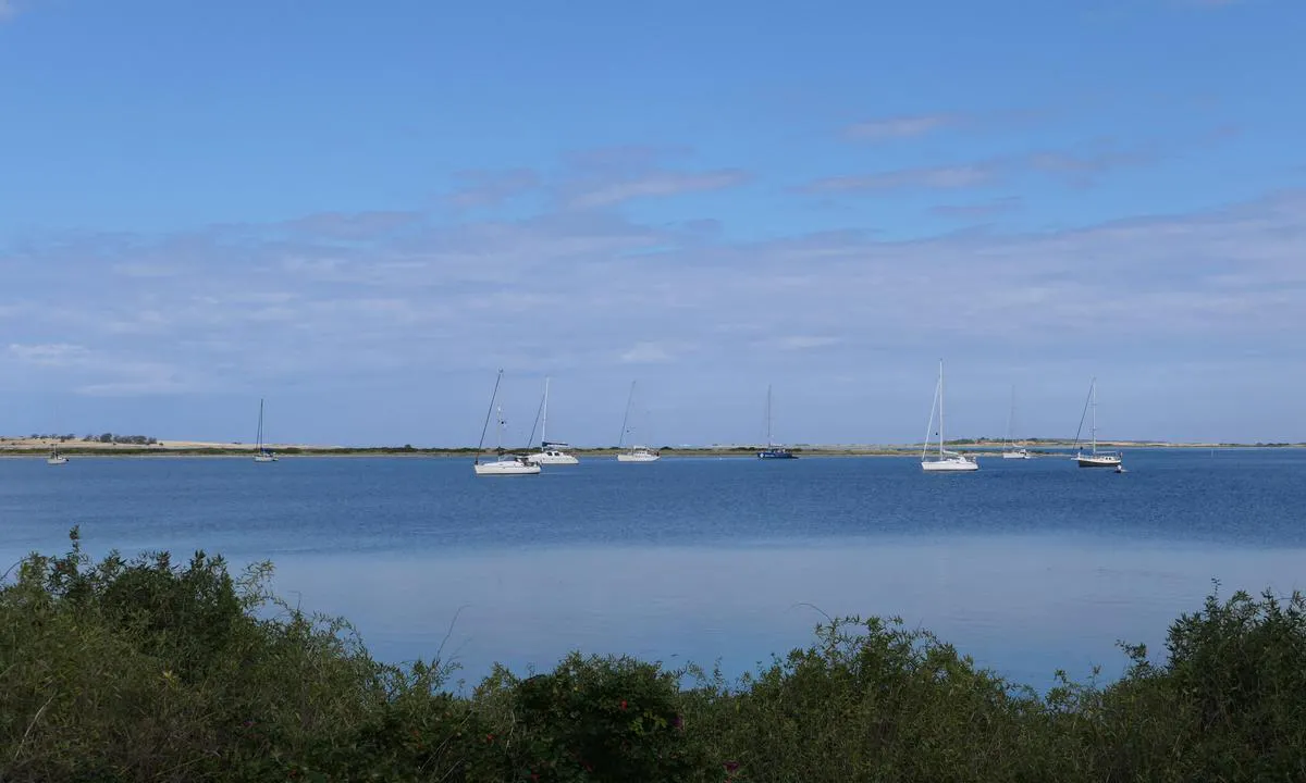 Langør/Stavn Fjord