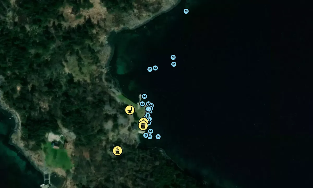 Satelite image of Langøy Friområde