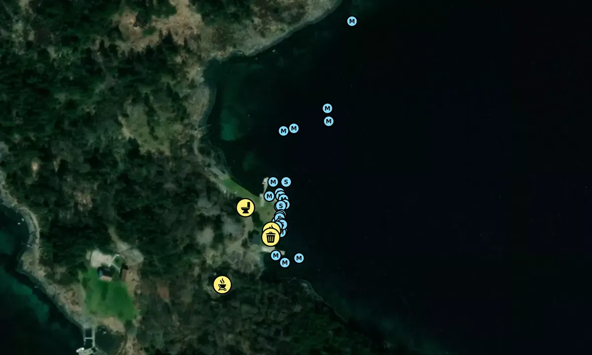 Satelite image of Langøy Friområde