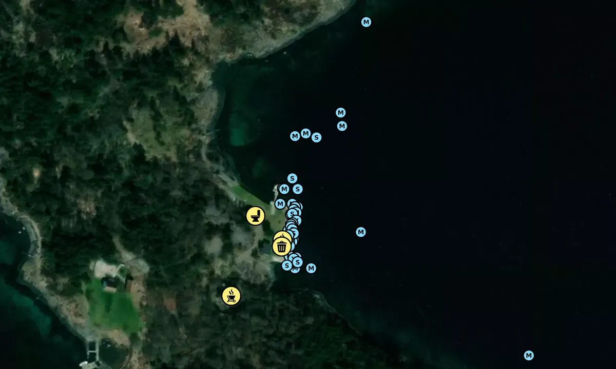 Satelite image of Langøy Friområde