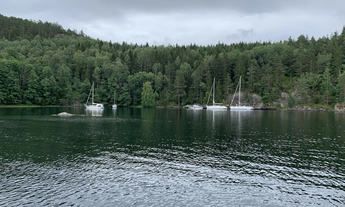 Langøykilen indre: Brygga og svaiplasser i sør. Her er det en del skygge.