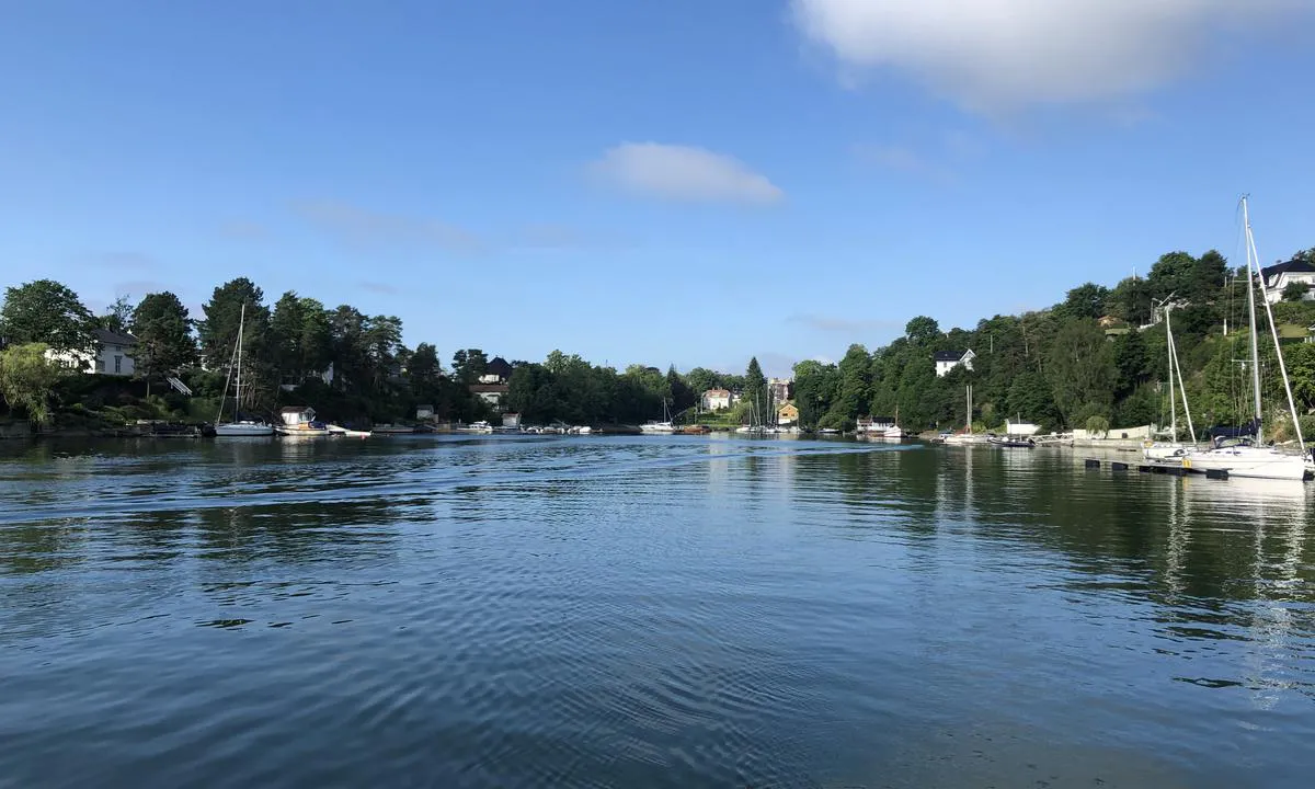 På sommeren er det frodig og fint å ligge på svai i Langvikbukta.