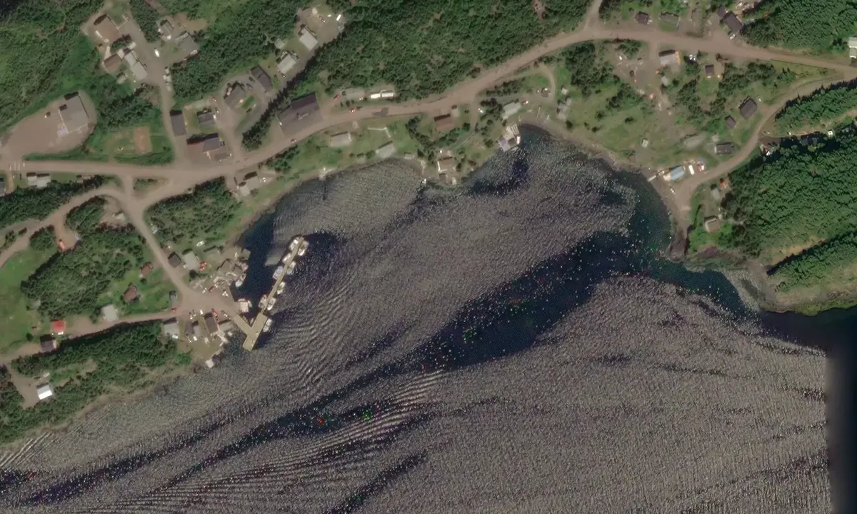 Satelite image of Leading Tickles Wharf