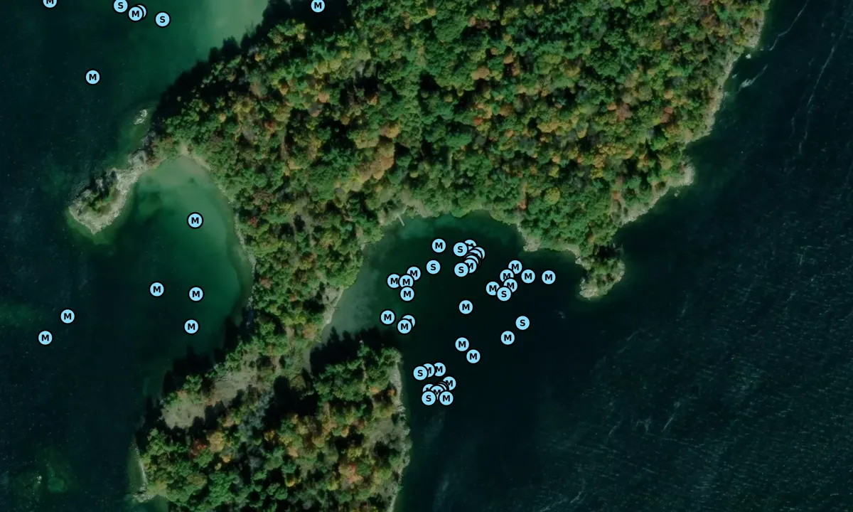 Satelite image of Leek Island 1