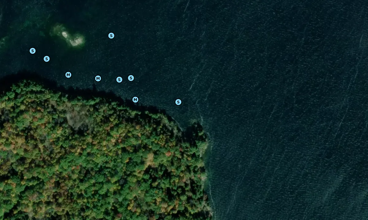 Satelite image of Leek Island - East