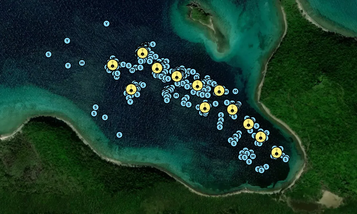 Satelite image of Leinster Bay - Coral Bay