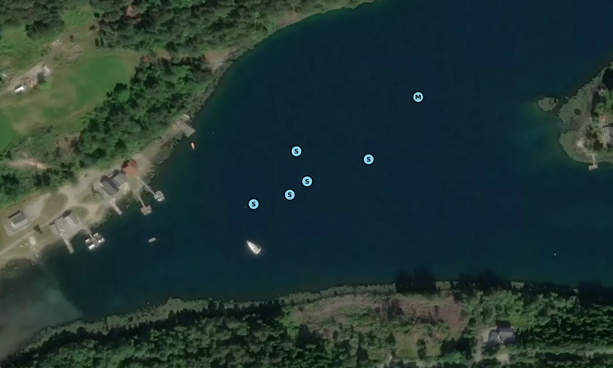 Satelite image of Leirvågen