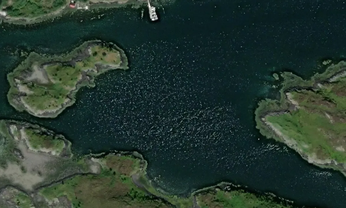 Satelite image of Leirvika