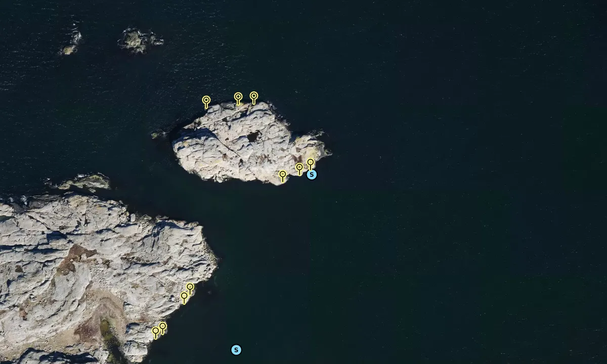 Satelite image of Lejonet