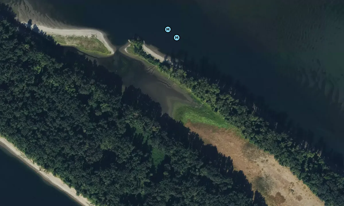 Satelite image of Lemon Island Cove